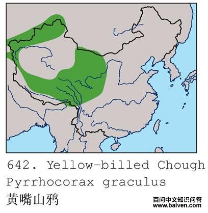 ����ɽѻ�ĵ����ֲ�ͼ