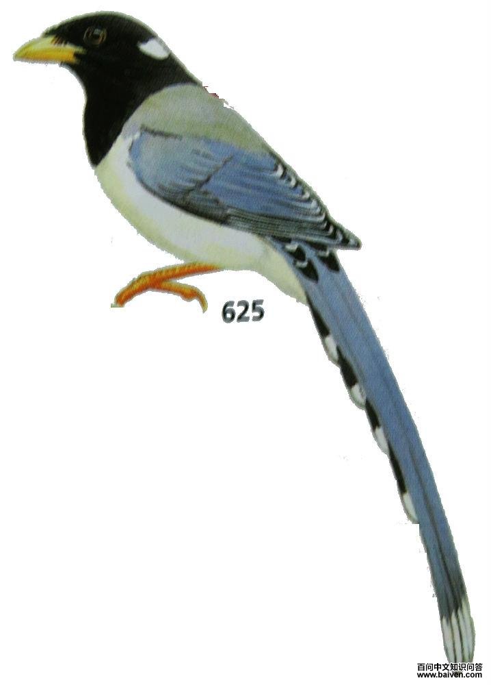 ������ȵ��ͼ��