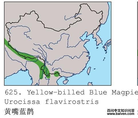 ������ȵ�ĵ����ֲ�ͼ