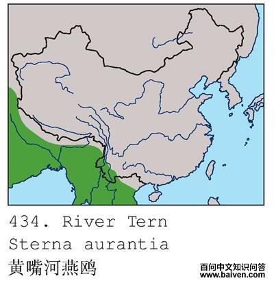 �������Ÿ�ĵ����ֲ�ͼ