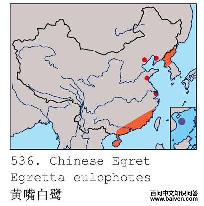 ������صĵ����ֲ�ͼ