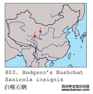 �׺�ʯ�S�ĵ����ֲ�ͼ