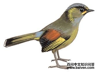 ����޴�̵�ͼ��