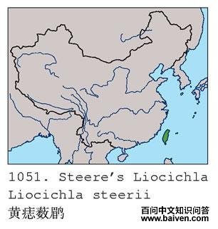 ����޴�̵ĵ����ֲ�ͼ