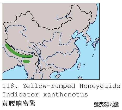 �����������ĵ����ֲ�ͼ