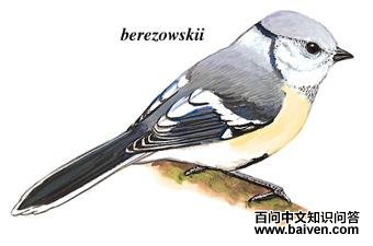 ����ɽȸ��ͼ��