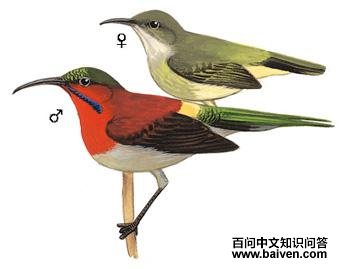 ����̫�����ͼ��