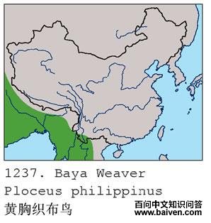 ����֯����ĵ����ֲ�ͼ