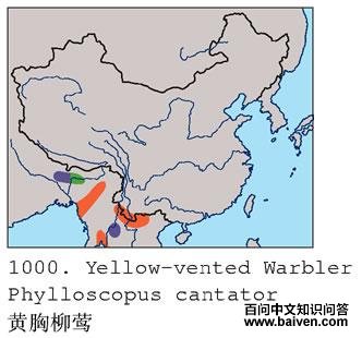 ������ݺ�ĵ����ֲ�ͼ