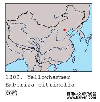 ���c�ĵ����ֲ�ͼ