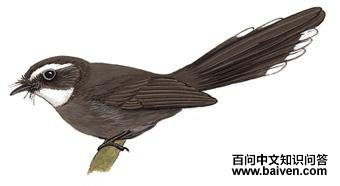 �׺���β�l��ͼ��