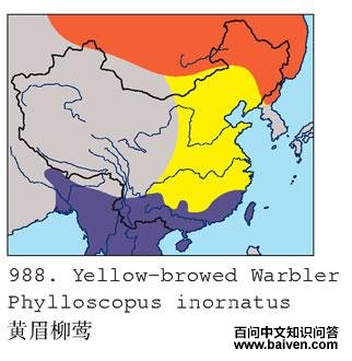 ��ü��ݺ�ĵ����ֲ�ͼ