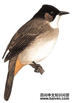 �����ǵ�ͼ��