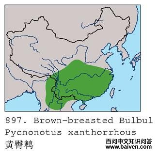 �����ǵĵ����ֲ�ͼ