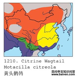 ��ͷ�n�_�ĵ����ֲ�ͼ