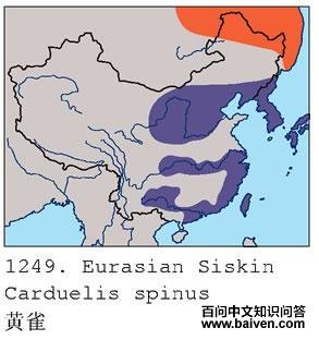 ��ȸ�ĵ����ֲ�ͼ