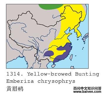 ��ü�c�ĵ����ֲ�ͼ