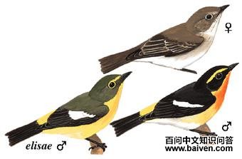 ��ü[��]�l��ͼ��