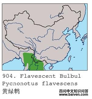 �����ǵĵ����ֲ�ͼ