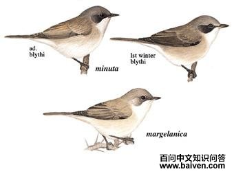 �׺���ݺ��ͼ��