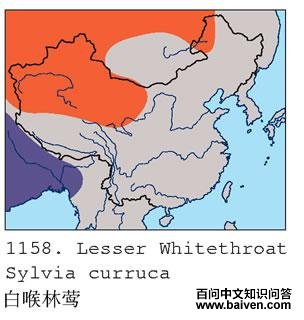 �׺���ݺ�ĵ����ֲ�ͼ