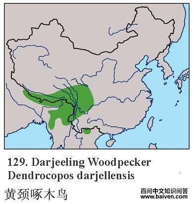 �ƾ���ľ��ĵ����ֲ�ͼ