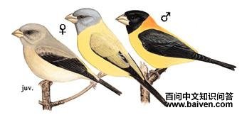 �ƾ�������ȸ��ͼ��