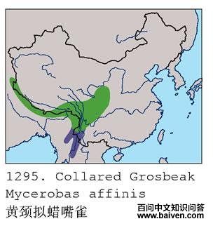 �ƾ�������ȸ�ĵ����ֲ�ͼ