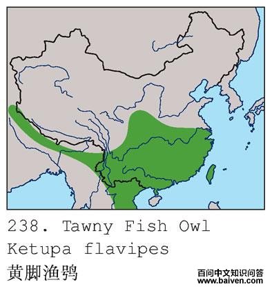 �ƽ����^�ĵ����ֲ�ͼ