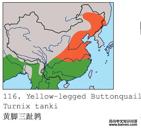 �ƽ���ֺ�ȵĵ����ֲ�ͼ