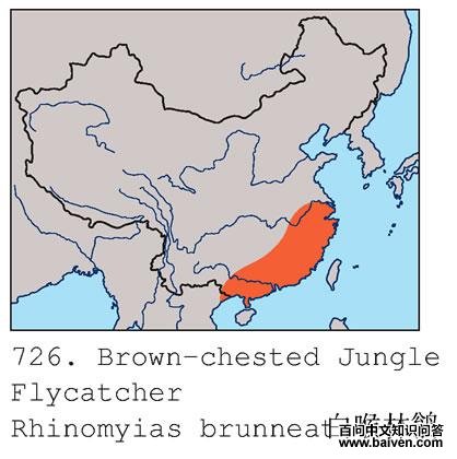 �׺����l�ĵ����ֲ�ͼ