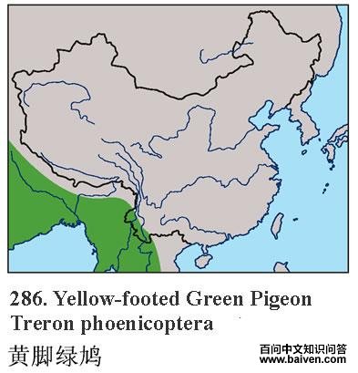 �ƽ����ĵ����ֲ�ͼ