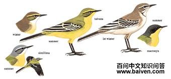 ���n�_��ͼ��