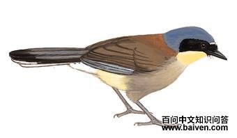 �ƺ����̵�ͼ��