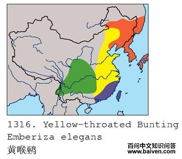 �ƺ��c�ĵ����ֲ�ͼ