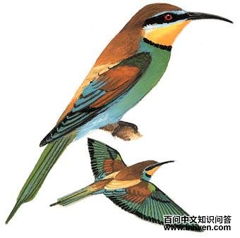 �ƺ��仢��ͼ��