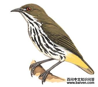 �Ƹ��Ļ����ͼ��