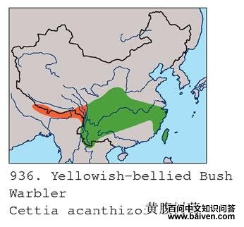 �Ƹ���ݺ�ĵ����ֲ�ͼ