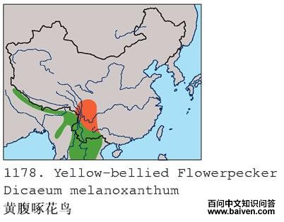 �Ƹ��Ļ���ĵ����ֲ�ͼ