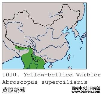 �Ƹ��lݺ�ĵ����ֲ�ͼ