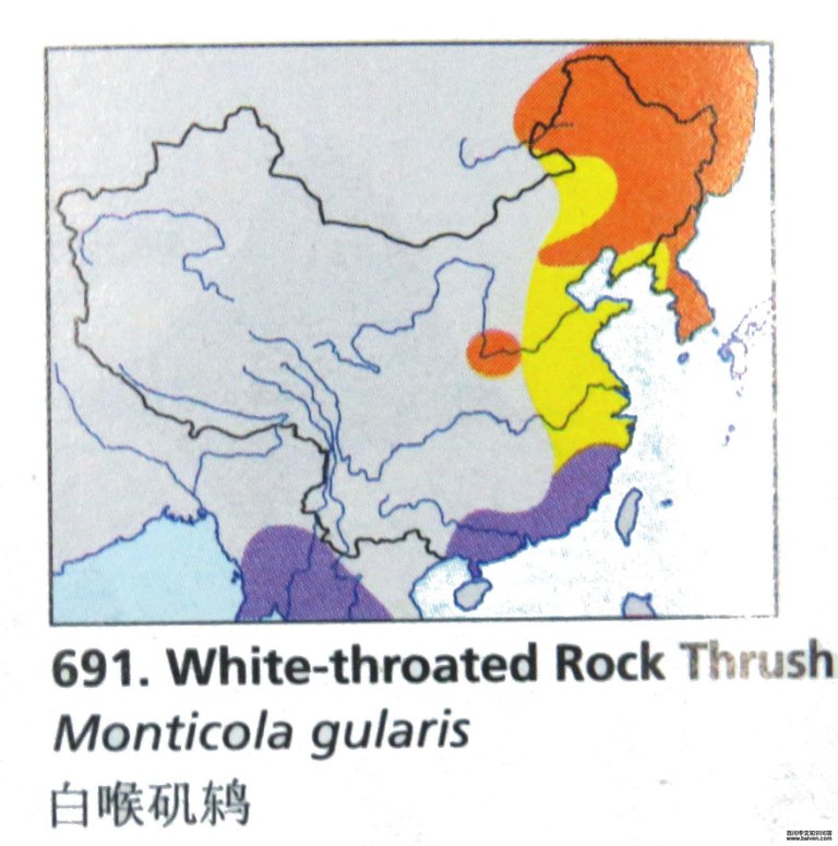 �׺����ĵ����ֲ�ͼ