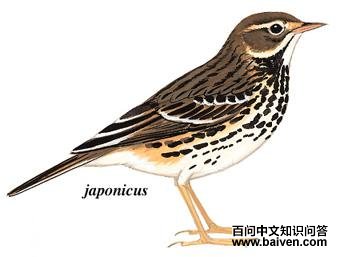 �Ƹ��ҵ�ͼ��