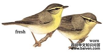 �Ƹ���ݺ��ͼ��