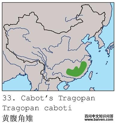 �Ƹ������ĵ����ֲ�ͼ