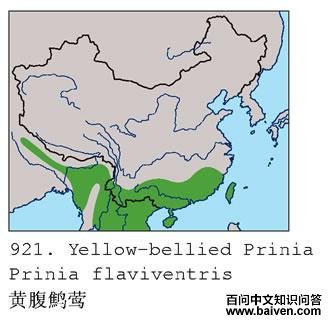 �Ƹ���ݺ�ĵ����ֲ�ͼ