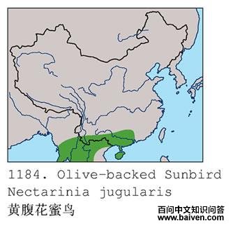 �Ƹ�������ĵ����ֲ�ͼ