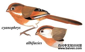 �ƶ�ѻȸ��ͼ��