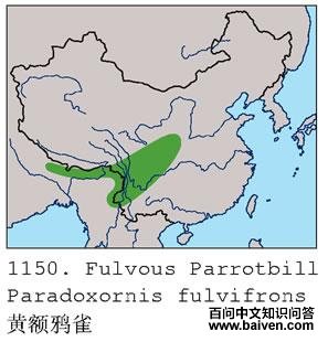 �ƶ�ѻȸ�ĵ����ֲ�ͼ