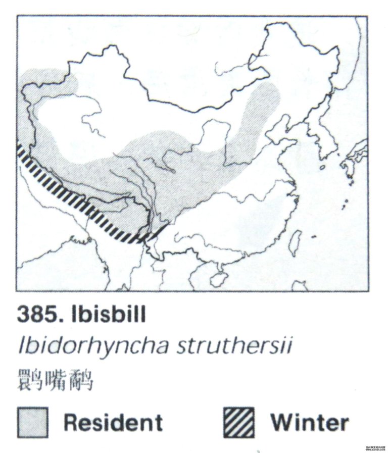 �q���ֵĵ����ֲ�ͼ