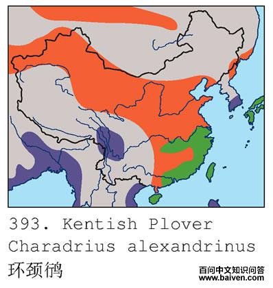 �����a�ĵ����ֲ�ͼ